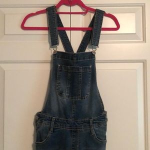 Skinny Leg Women’s Overalls (Practically New!)